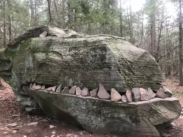 penampakan alam menipu mata © Reddit