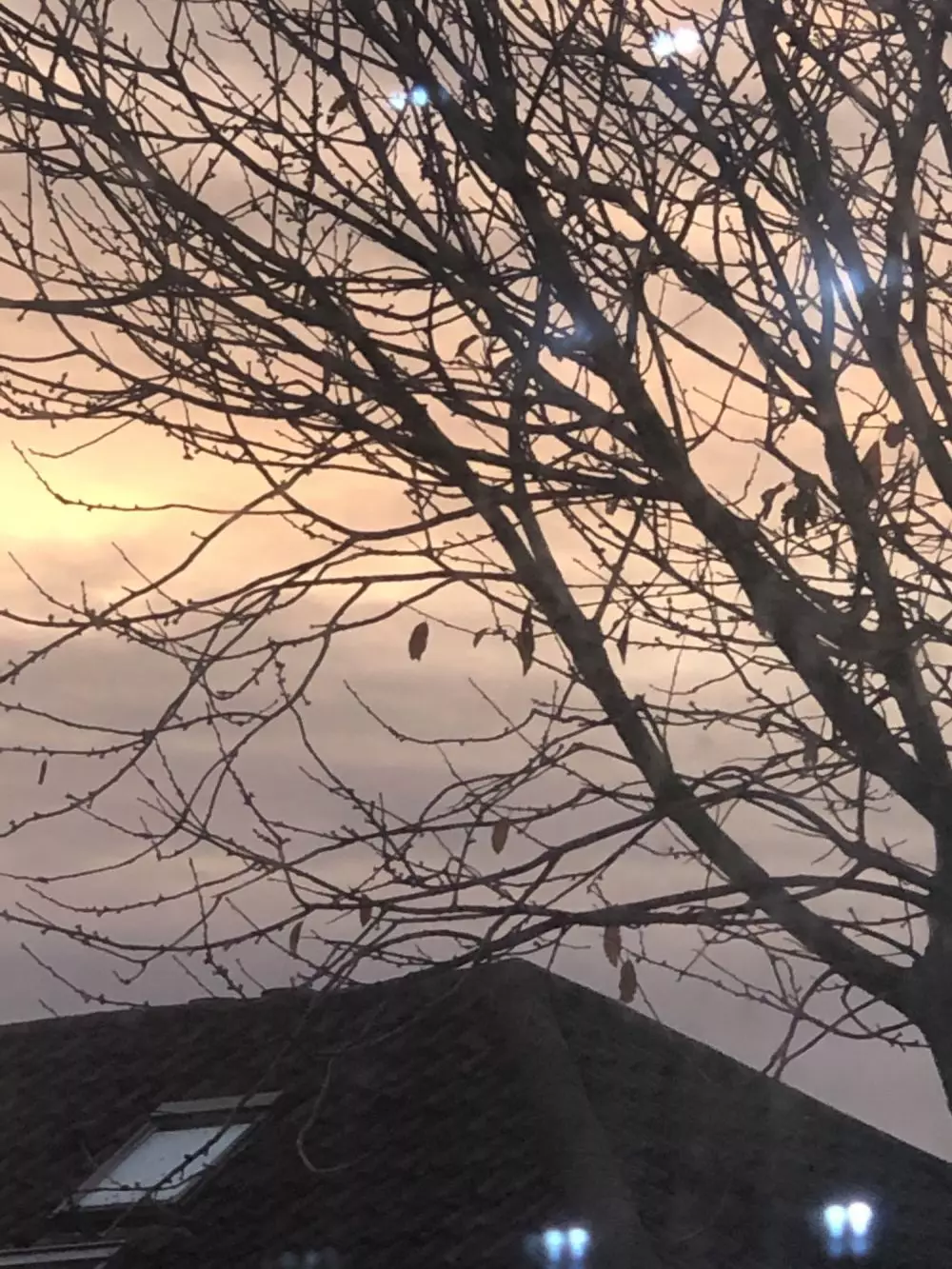 penampakan alam menipu mata © Reddit