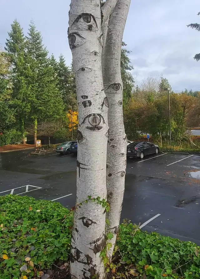 penampakan alam menipu mata © Reddit