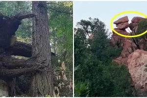 10 Potret penampakan alam ini menipu mata, ada yang mirip manusia