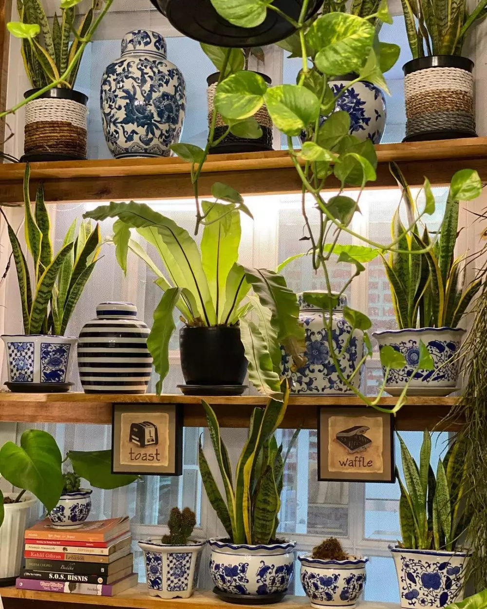 tanaman hias Yuni Shara © 2020 brilio.net/ Instagram