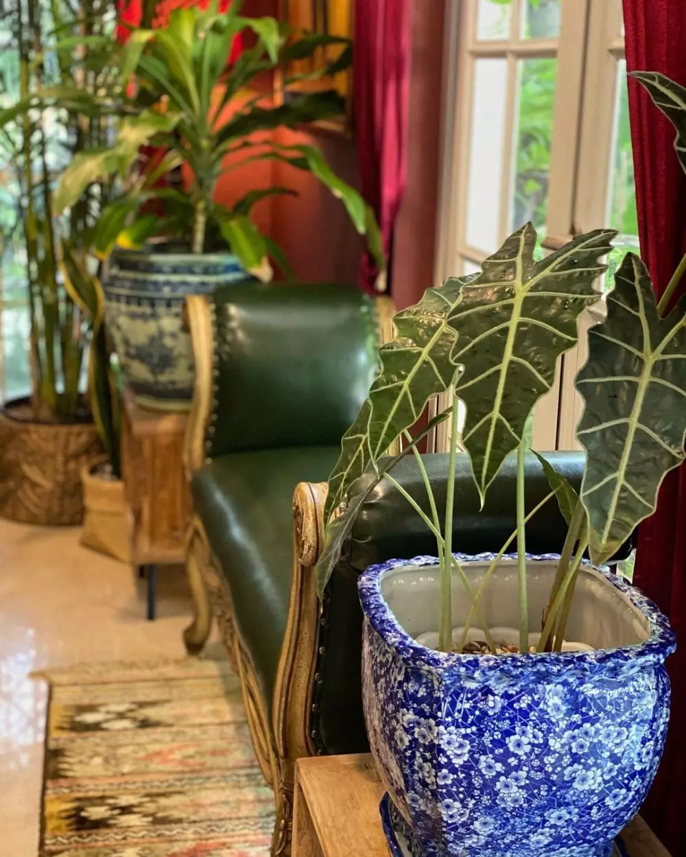 tanaman hias Yuni Shara © 2020 brilio.net/ Instagram