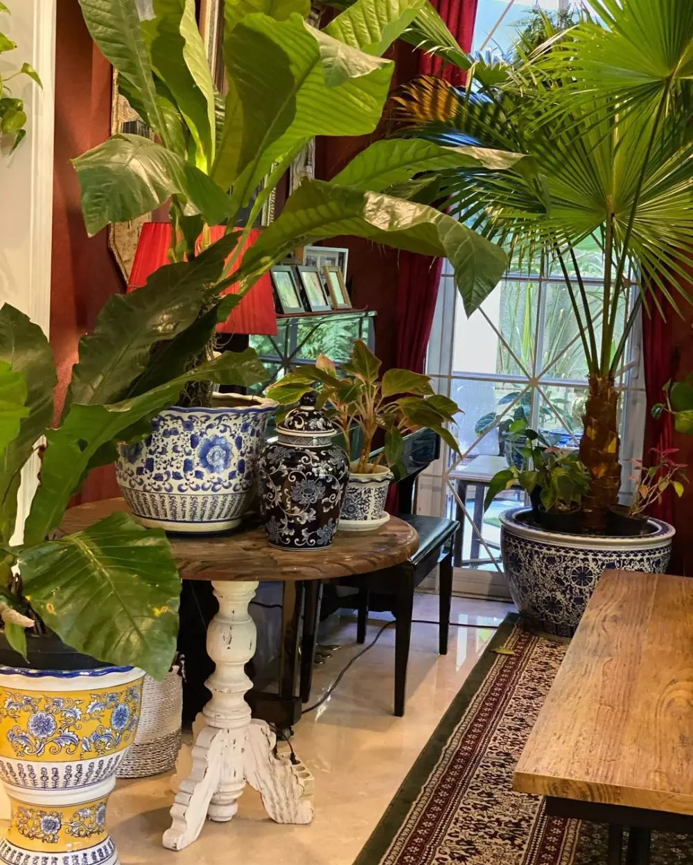 tanaman hias Yuni Shara © 2020 brilio.net/ Instagram