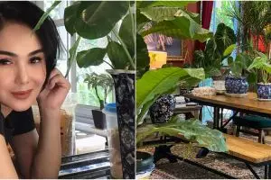 10 Potret koleksi tanaman hias Yuni Shara, asri dan rapi