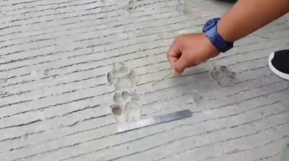 jejak misterius merapi © Instagram