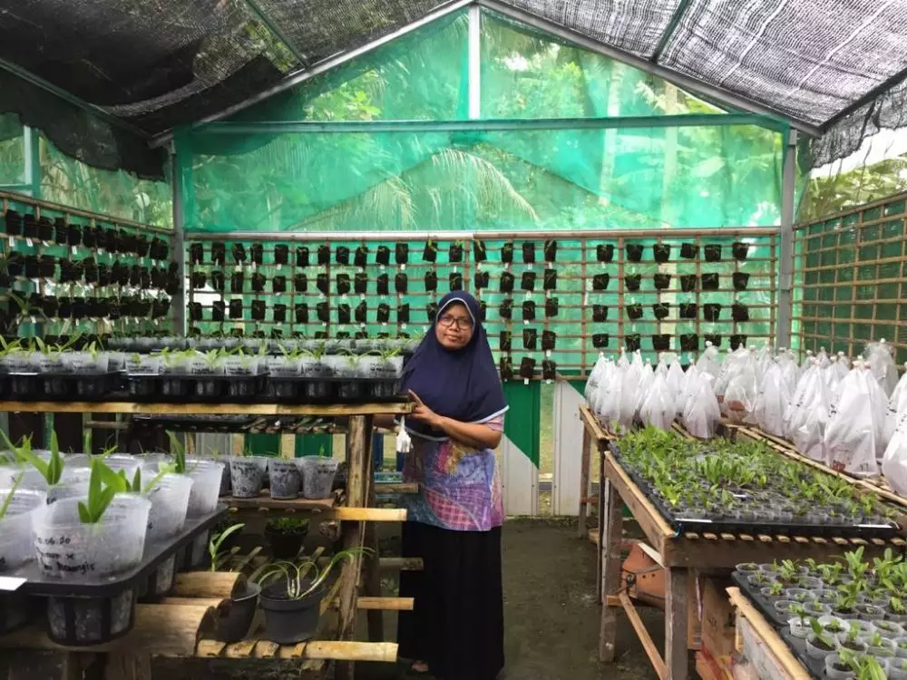 tren bercocok tanam © 2020 brilio.net tren bercocok tanam © 2020 brilio.net