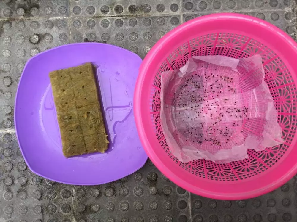 tren bercocok tanam © 2020 brilio.net tren bercocok tanam © 2020 brilio.net