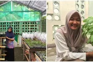 Bercocok tanam, tren baru percantik rumah selama pandemi corona