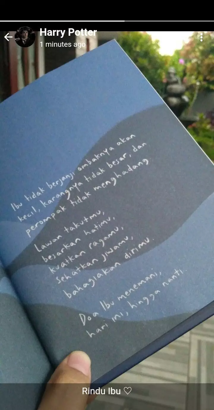 status WA Harry Potter © Twitter