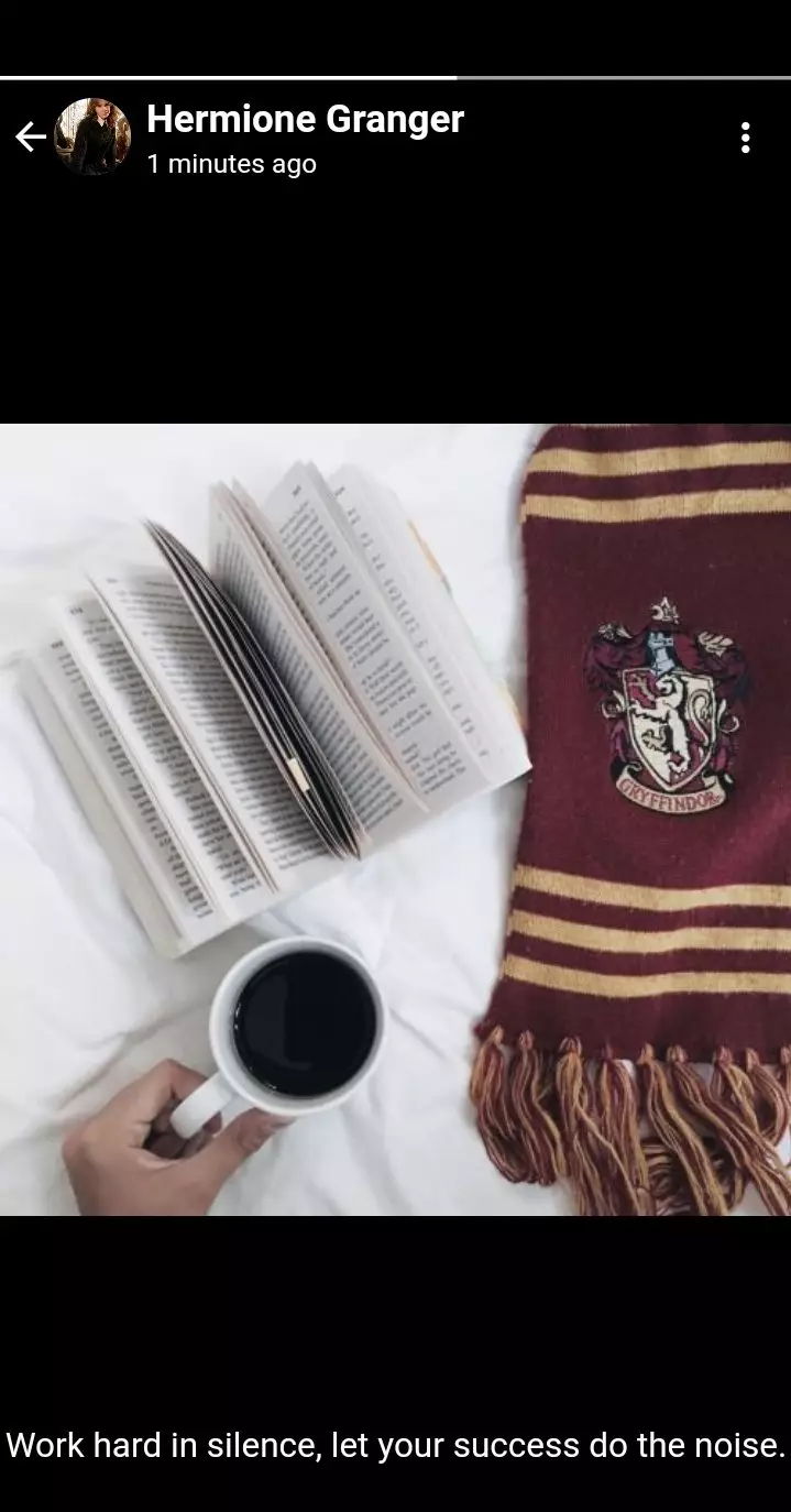 status WA Harry Potter © Twitter