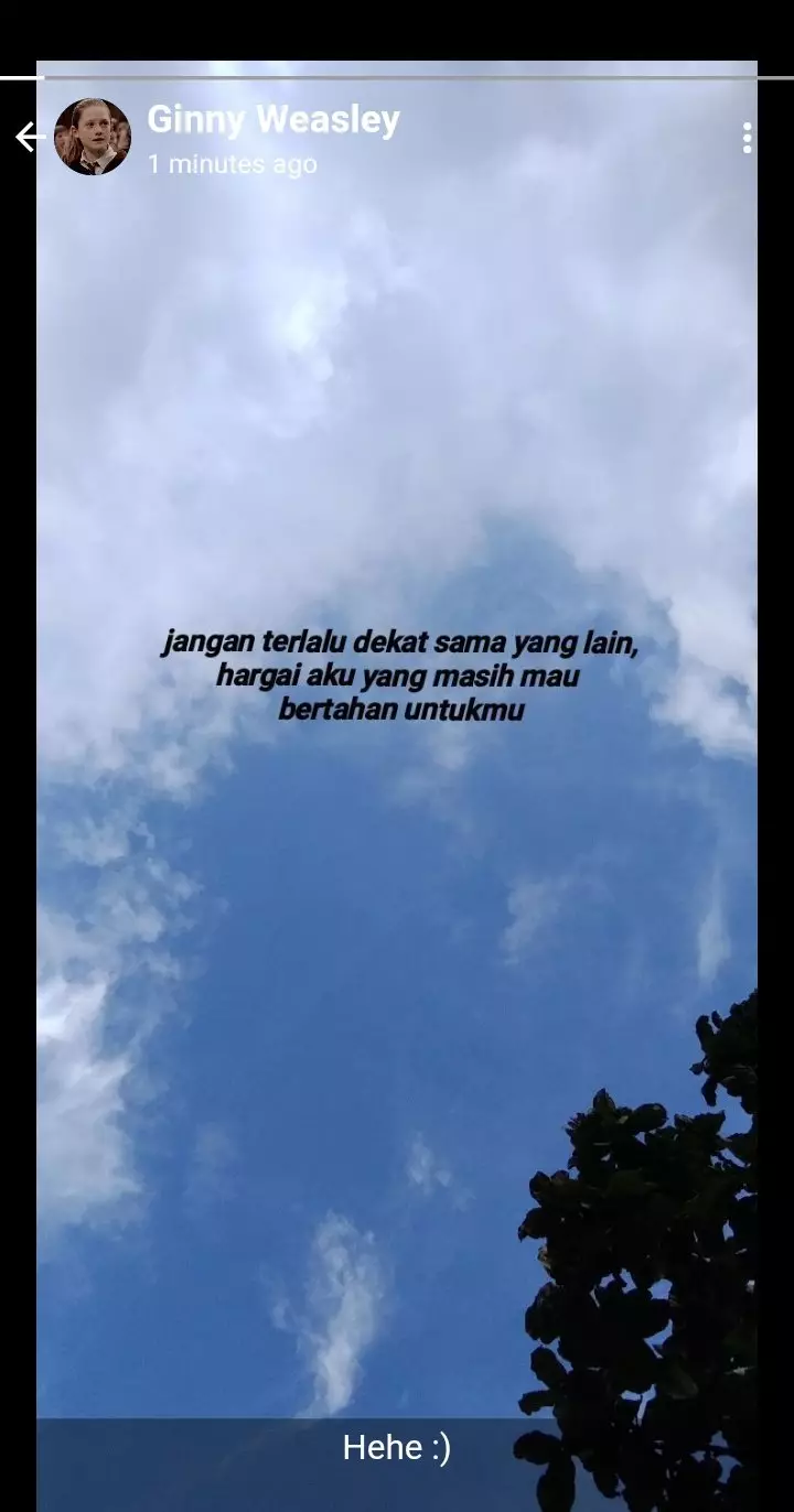 status WA Harry Potter © Twitter