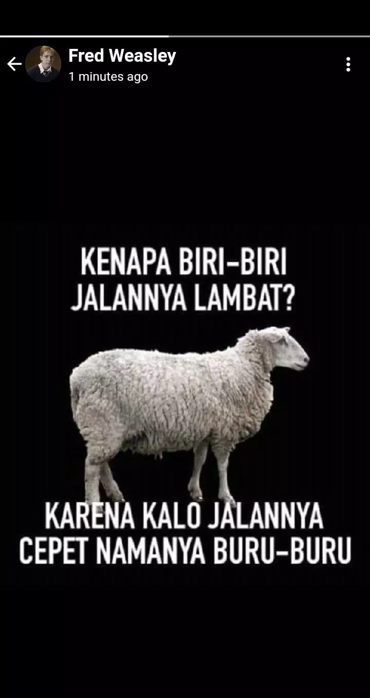 status WA Harry Potter © Twitter