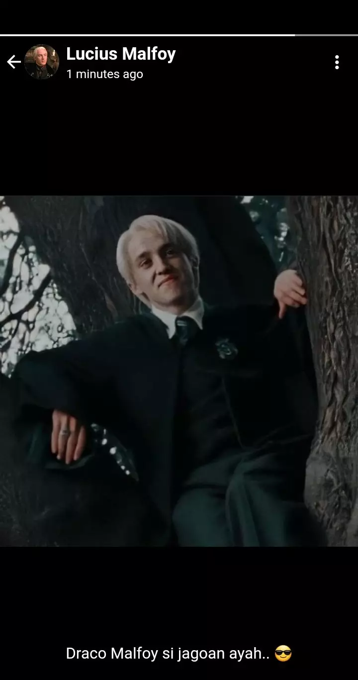 status WA Harry Potter © Twitter