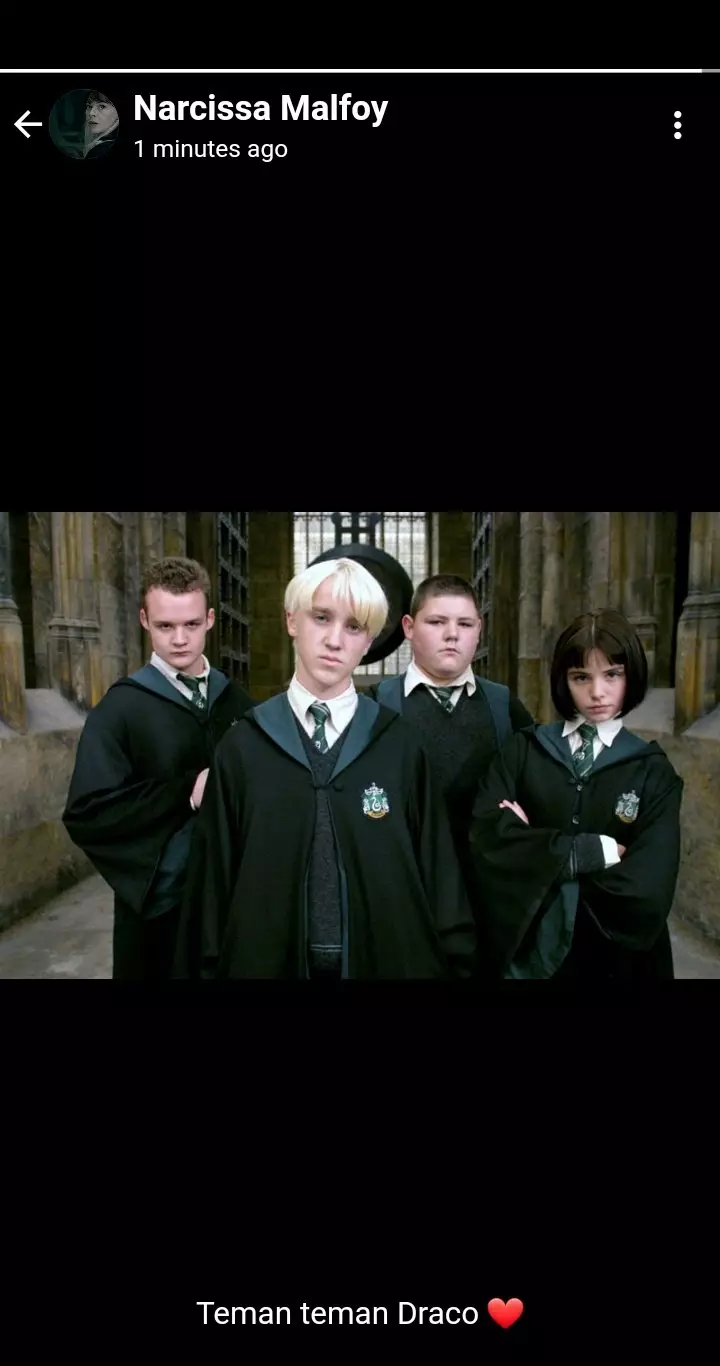 status WA Harry Potter © Twitter