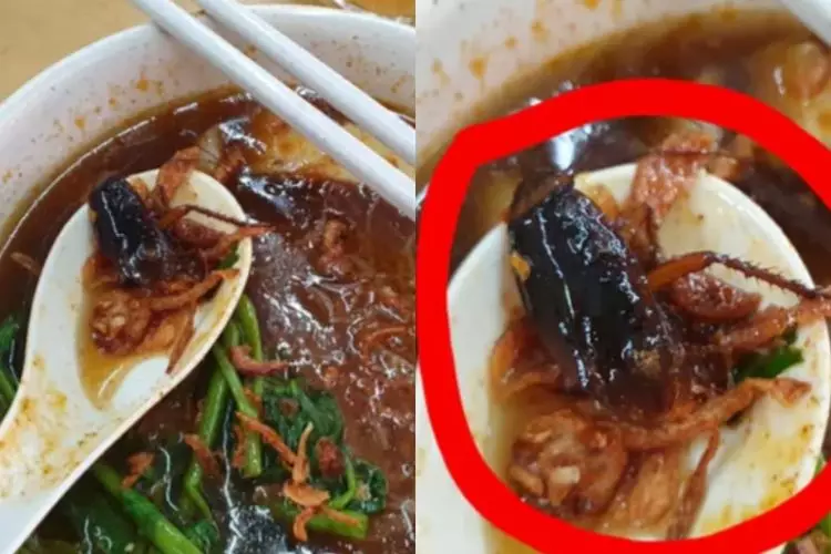nggak jadi makan karena hewan Instagram nggak jadi makan karena hewan Instagram