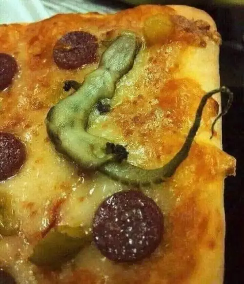 nggak jadi makan karena hewan Instagram nggak jadi makan karena hewan Instagram