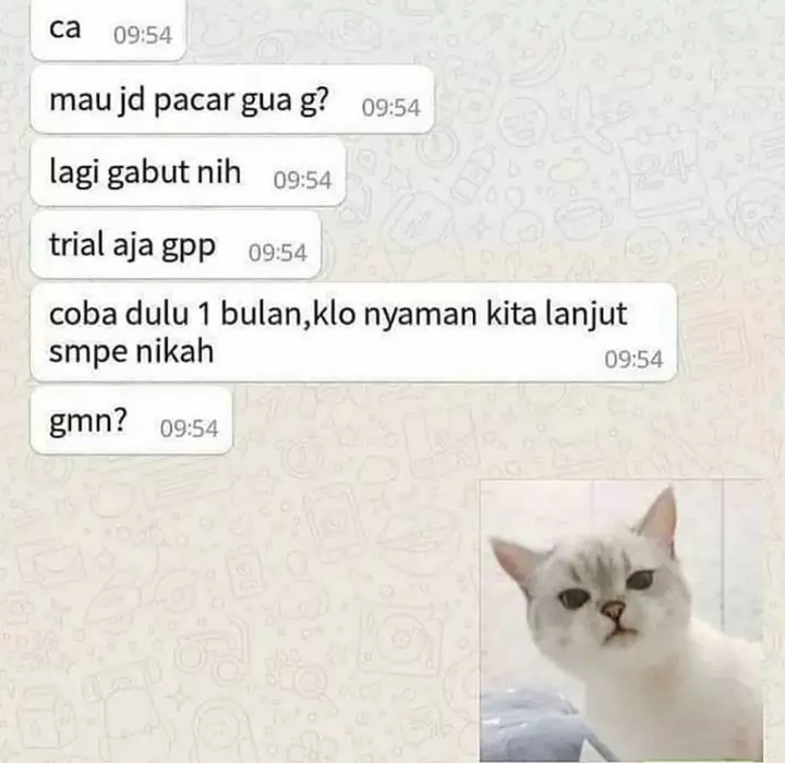 Chat cara cowok nembak gebetan berbagai sumber