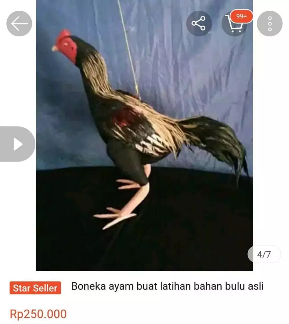 barang absurd di online shop Berbagai sumber