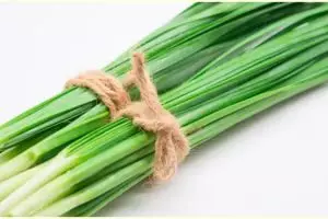 8 Manfaat daun kucai untuk kesehatan, menurunkan kolesterol