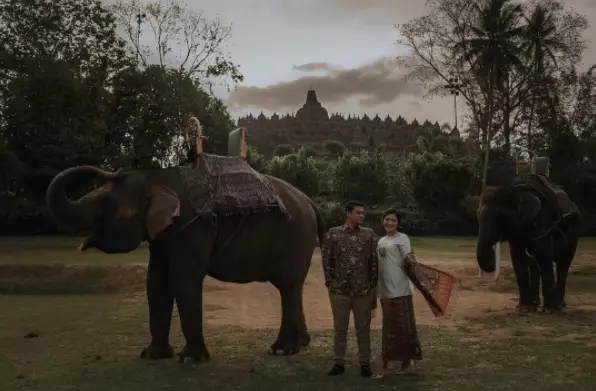 Seleb pemotretan dengan hewan © 2020 brilio.net