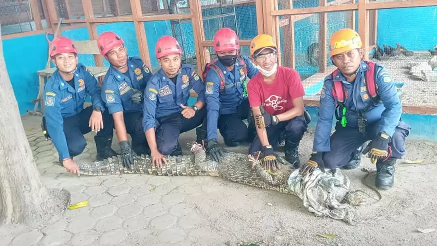 Buaya berkeliaran di mall © 2020 brilio.net