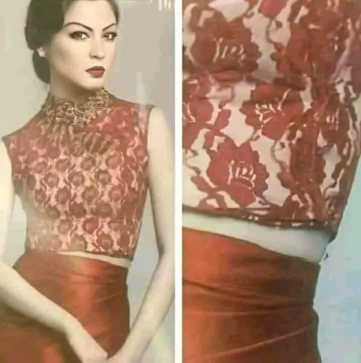 nyamuk asal templok © Berbagai Sumber