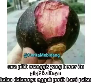 cara pilih buah absurd Berbagai sumber