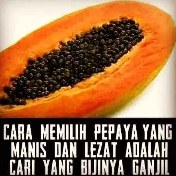 cara pilih buah absurd Berbagai sumber