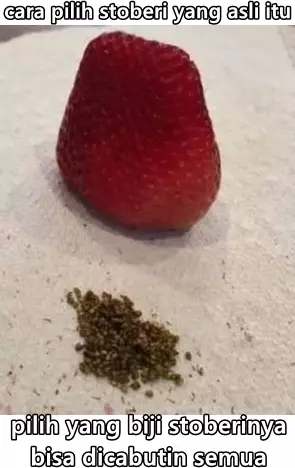 cara pilih buah absurd Berbagai sumber