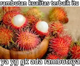 cara pilih buah absurd Berbagai sumber