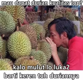 cara pilih buah absurd Berbagai sumber