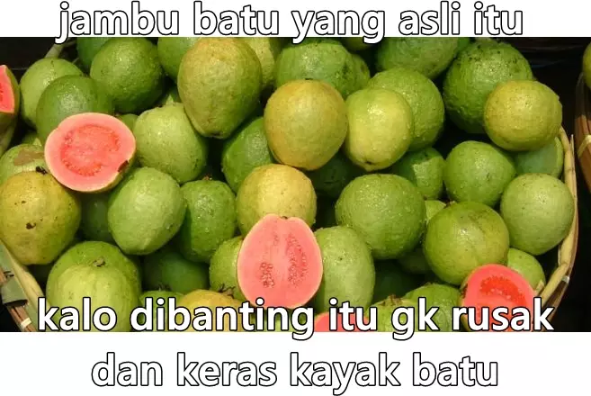 cara pilih buah absurd Berbagai sumber