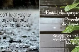 45 Kata-kata bagus tentang hujan, penuh makna dan menyentuh hati