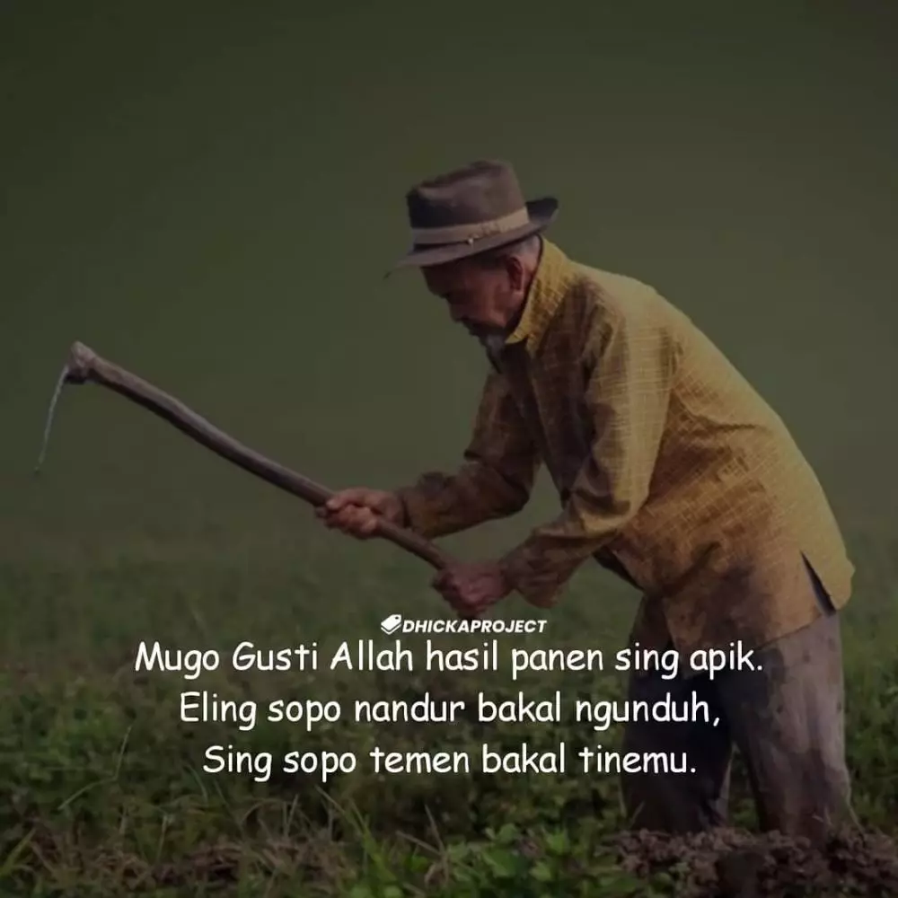 kata bijak Jawa © 2020 brilio.net/ Instagram