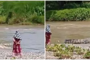 Viral potret buaya berkalung ban kembali muncul, bikin heboh