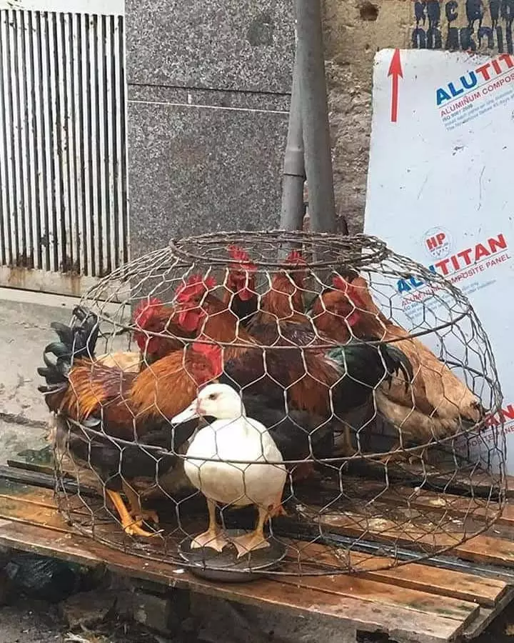 potret lucu beda sendiri  © Instagram