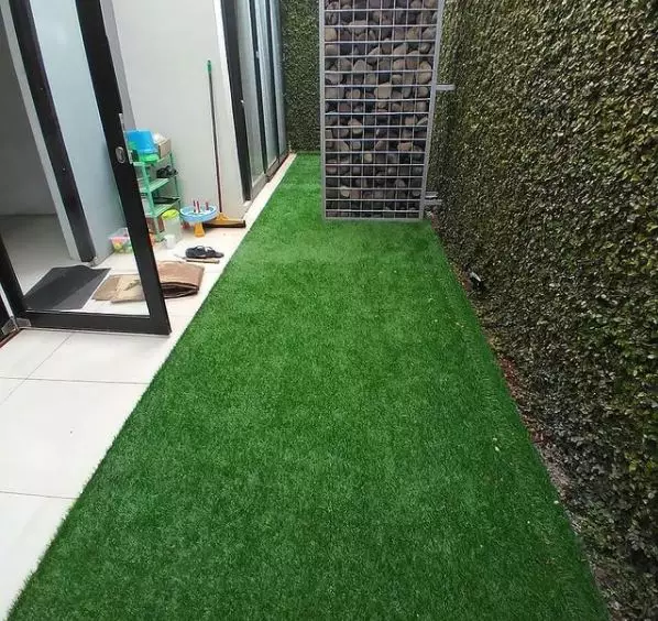 Jenis rumput hias © 2020 brilio.net Jenis rumput hias © 2020 brilio.net