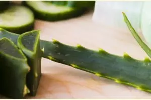 Cara membuat masker lidah buaya dengan timun di rumah, mudah & praktis