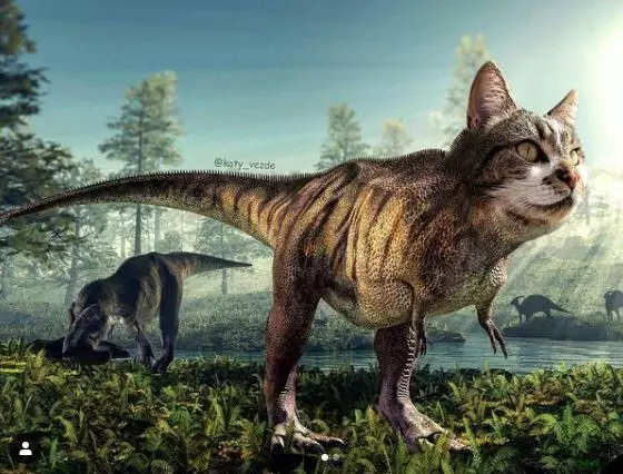 editan potret kucing dengan hewan lain Instagram