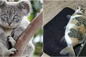 10 Editan potret kucing disatukan dengan hewan lain, bikin tepuk jidat