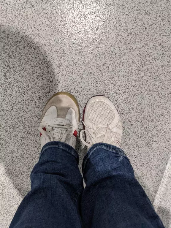 momen apes pakai sepatu © Berbagai Sumber