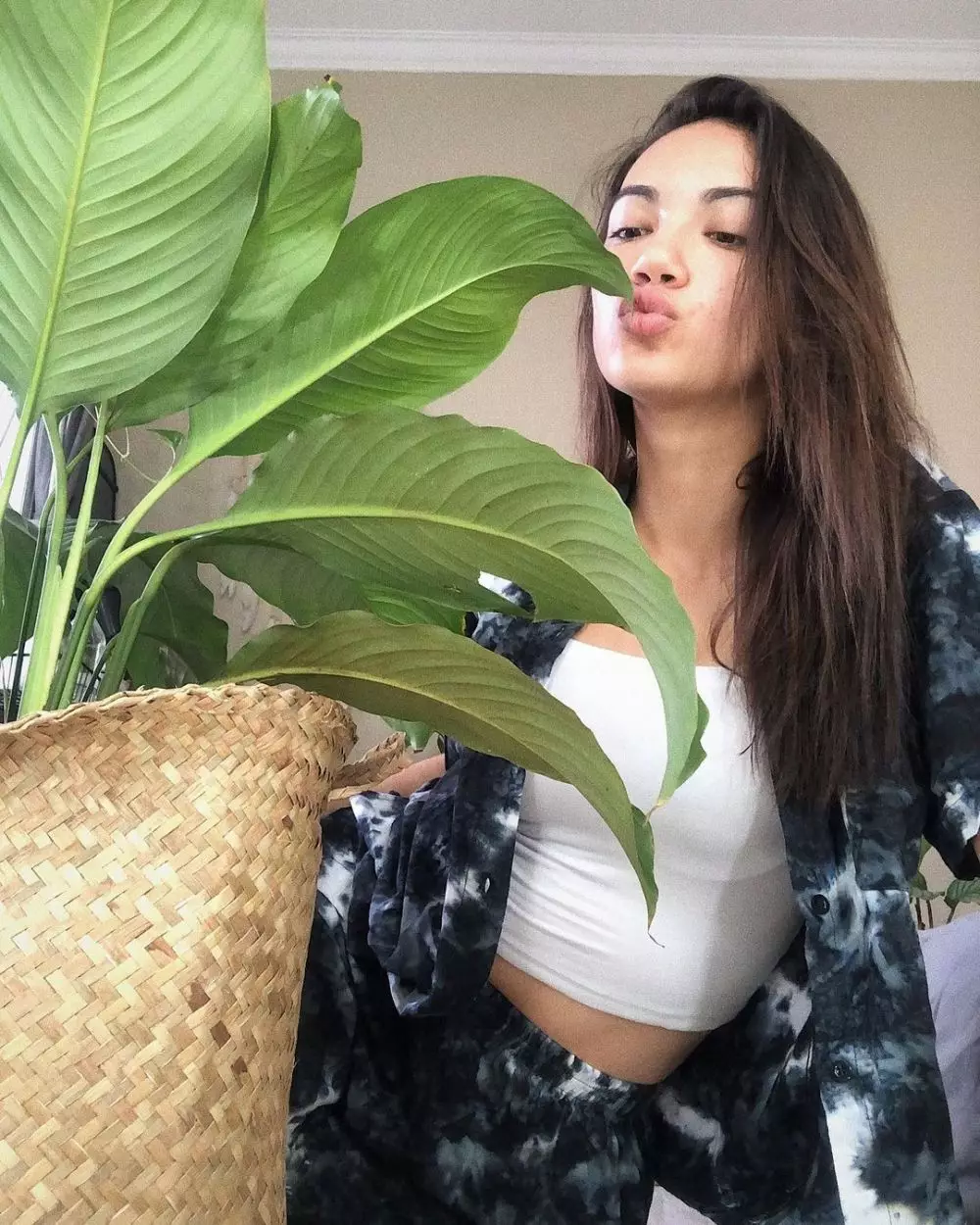 koleksi tanaman hias Haico © 2020 Instagram