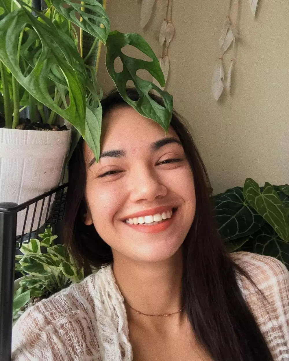 koleksi tanaman hias Haico © 2020 Instagram