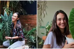 10 Potret koleksi tanaman hias Haico van der Veken, disayang bak anak