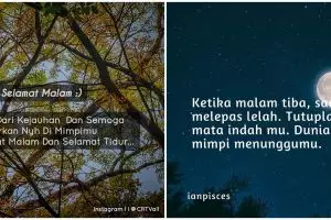 40 Kata-kata selamat malam dunia, cocok jadi status medsos