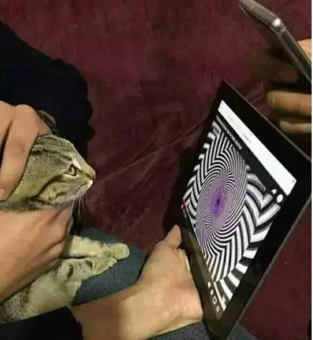 10 Aplikasi HP paling kocak istimewa