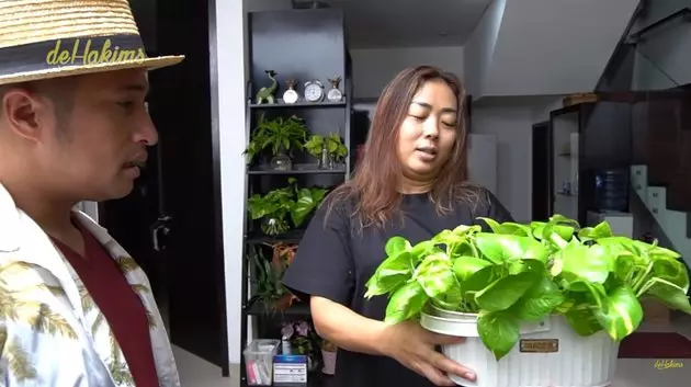 koleksi tanaman hias Soimah © YouTube koleksi tanaman hias Soimah © YouTube