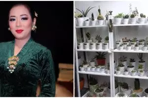 10 Potret kebun dalam rumah Soimah, asri dan rapi