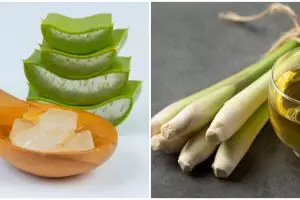 9 Bumbu dapur pembasmi jamur pada tubuh, praktis dan ekonomis