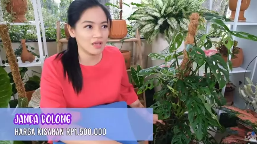 Potret koleksi tanaman hias Titi Kamal © 2020 brilio.net/ Instagram/ YouTube